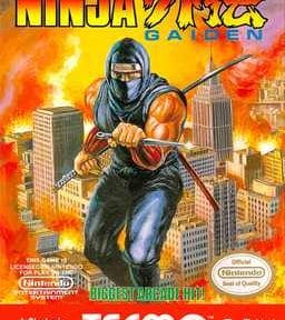 Ninja Gaiden Nes