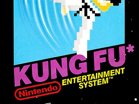 Kung Fu Nes