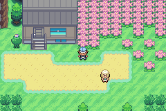 Pocket Monster – Pokemon Emerald (Completed) – Pokemon Hack Mod