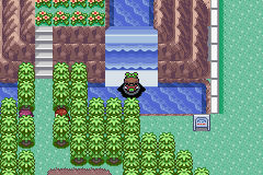 Pokemon – Emerald Matt Headrom’s Edition (Completed) – Pokemon Hack Mod