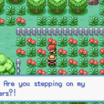 Pokemon Radish Pokemon - Play Online Free