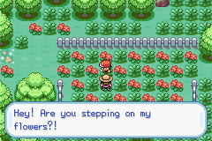 Pokemon – Radish (Beta) – Pokemon Hack Mod