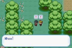 Pokemon – VinewhipGreen (Completed) – Pokemon Hack Mod